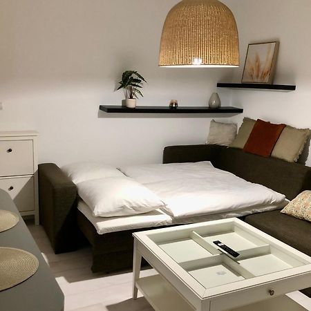 Apartman V Centre Ziliny S Parkovanim Жилина Экстерьер фото